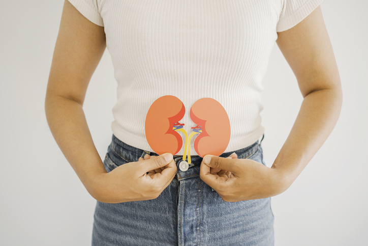 Maladies rénales : la découverte d’un ‘chef d’orchestre’ qui aggrave la maladie