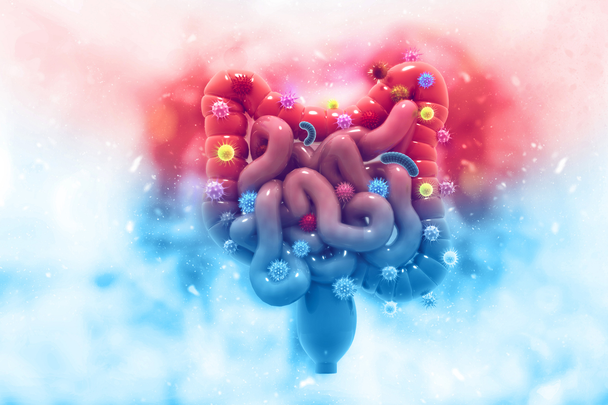 Gut microbiota and colorectal cancer: the cancer’s invisible ally?