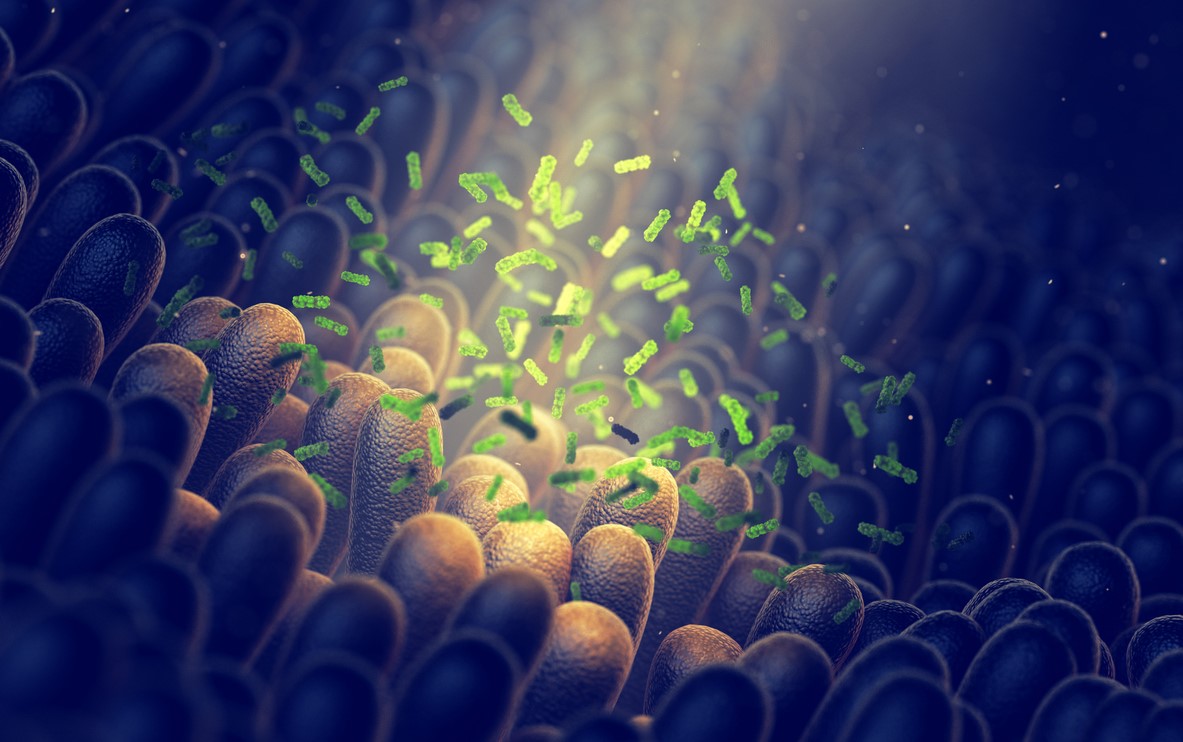 Microbiote et cancer colorectal : l’ennemi invisible ?
