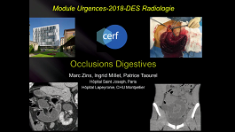 Emergency Modules (CERF) 2018