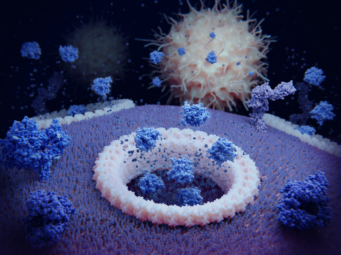 Circulating levels of cytokines and risk of urologic cancers: a two-sample Mendelian randomization study Circulating levels of cytokines and risk of urologic cancers: a two-sample Mendelian randomization study