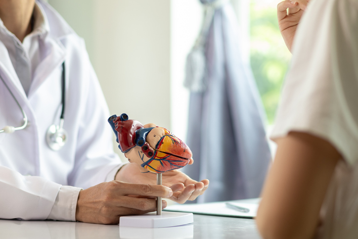 Obésité et insuffisance cardiaque : la perte de poids pourrait restaurer la contractilité du muscle cardiaque