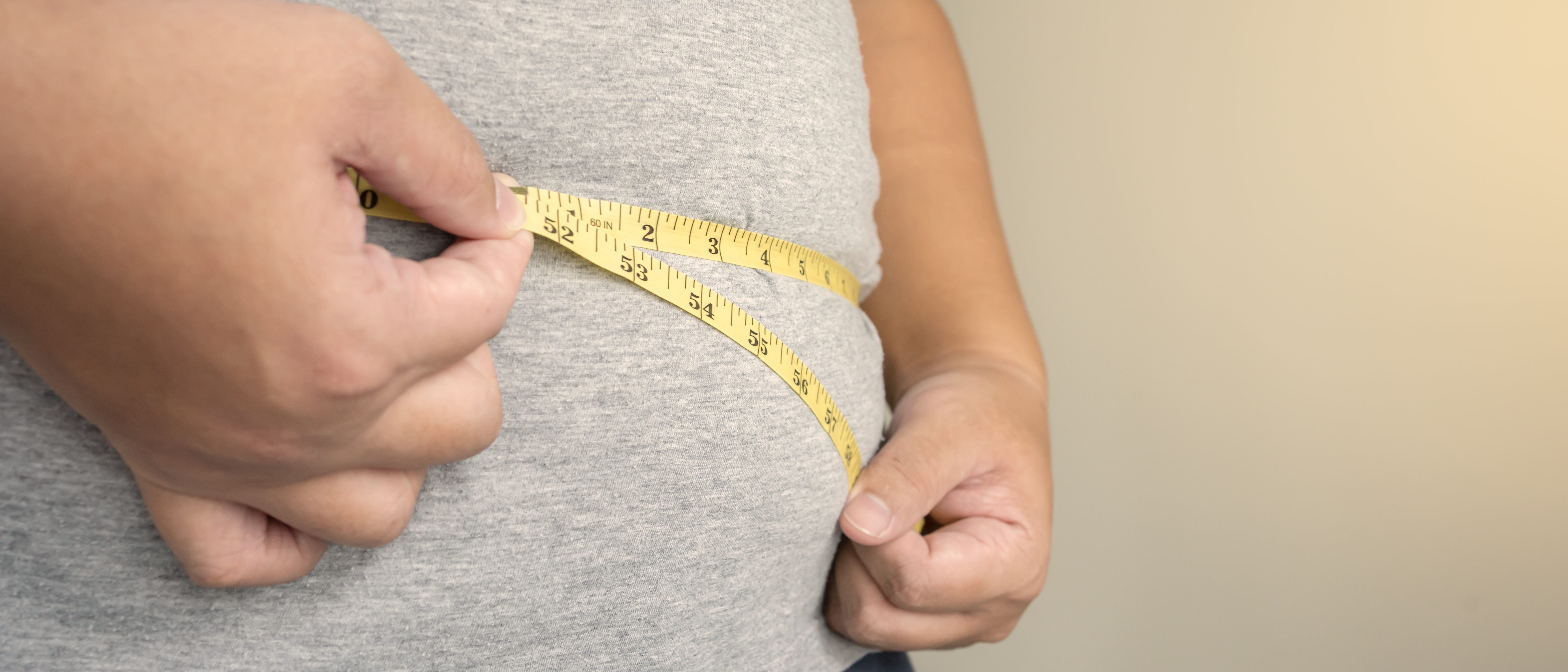 Obesity: when the kidneys become overwhelmed