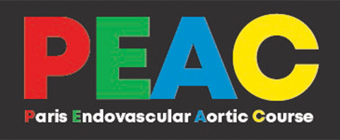 Paris Endovascular Aortic Course - PEAC 2020