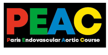 Paris Endovascular Aortic Course - PEAC 2021