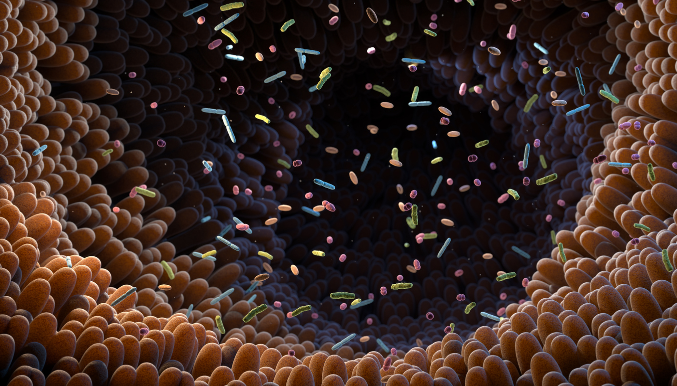 Parkinson’s disease: could it all start in the gut? Parkinson’s disease: could it all start in the gut?