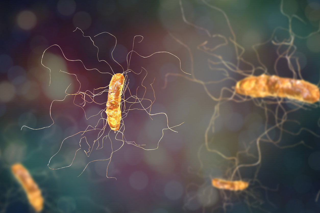 Management of Clostridioides difficile infections Management of Clostridioides difficile infections