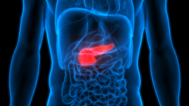 Quels sont les mécanismes cellulaires impliqués dans l’initiation du cancer du pancréas ? Quels sont les mécanismes cellulaires impliqués dans l’initiation du cancer du pancréas ?