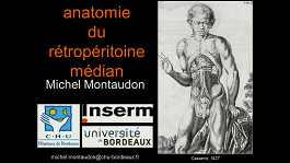 Radioanatomie 2018 (CERF)