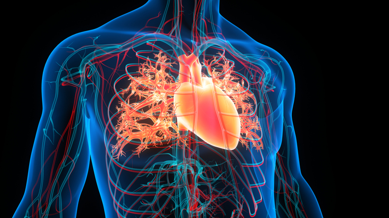Recommandations pour le diagnostic et la prise en charge des patients atteints d’une coronaropathie chronique Recommandations pour le diagnostic et la prise en charge des patients atteints d’une coronaropathie chronique