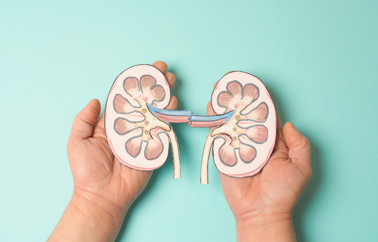 sFas: a new warning signal in kidney disease?