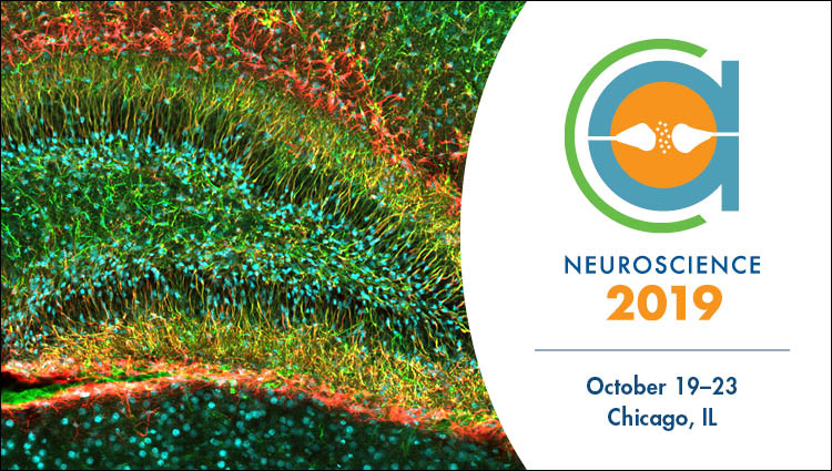 Society for neuroscience's 49th annual meeting (SFN) 2019