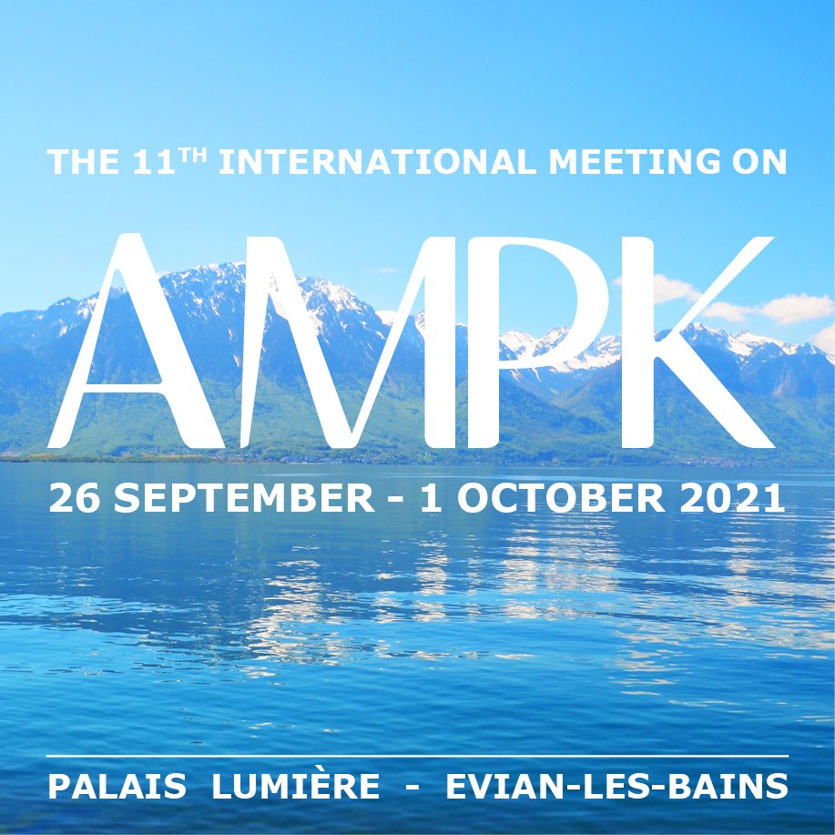 The 11th International Meeting on AMPK 2021