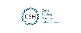 The Cold Spring Harbor Laboratory (CSHL) Genome Engineering meeting 2019