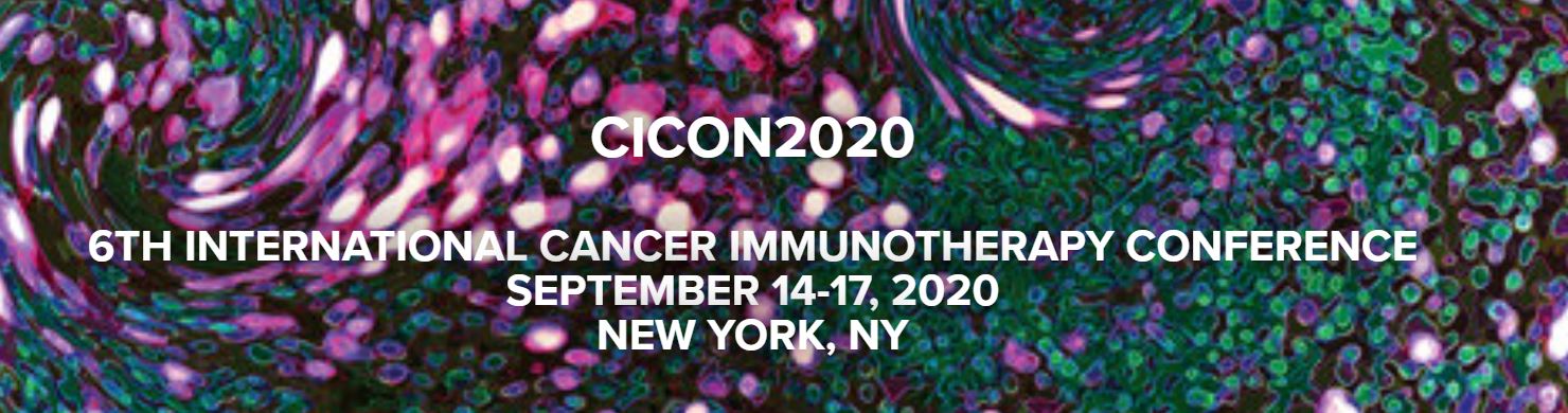 The International Cancer Immunotherapy Conference CICON 2020