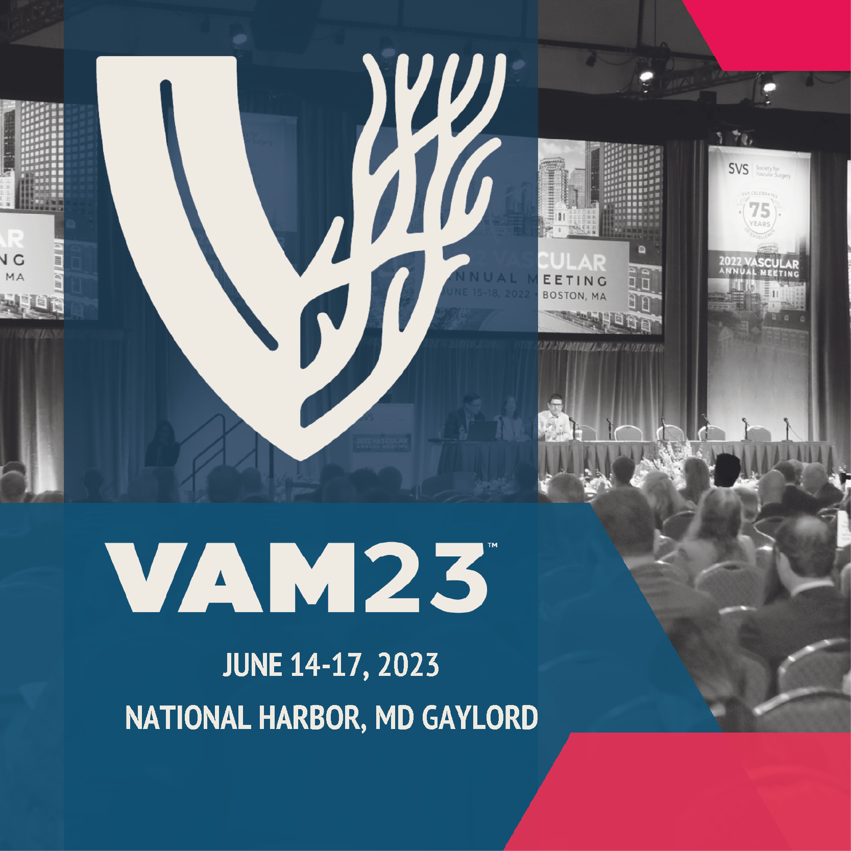 Vascular Annual Meeting SVS - VAM 2023