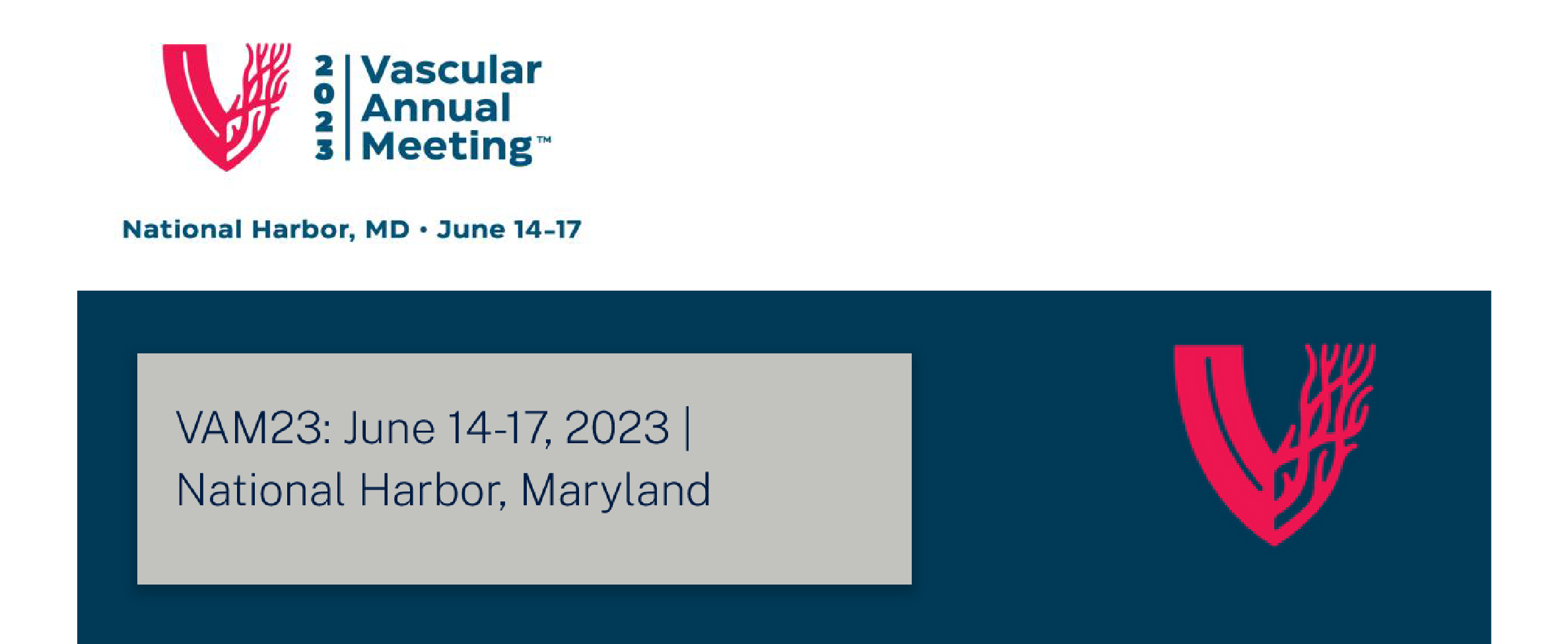 Vascular Annual Meeting SVS - VAM 2023