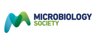 Videos from Microbiology Society 2020