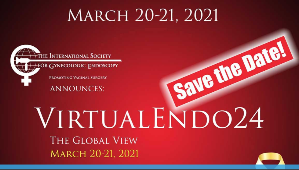 VirtualEndo24 - The Global View 2021