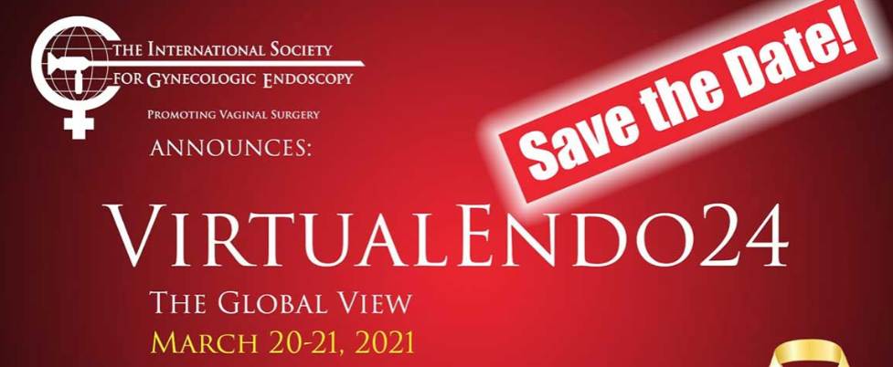 VirtualEndo24 - The Global View 2021