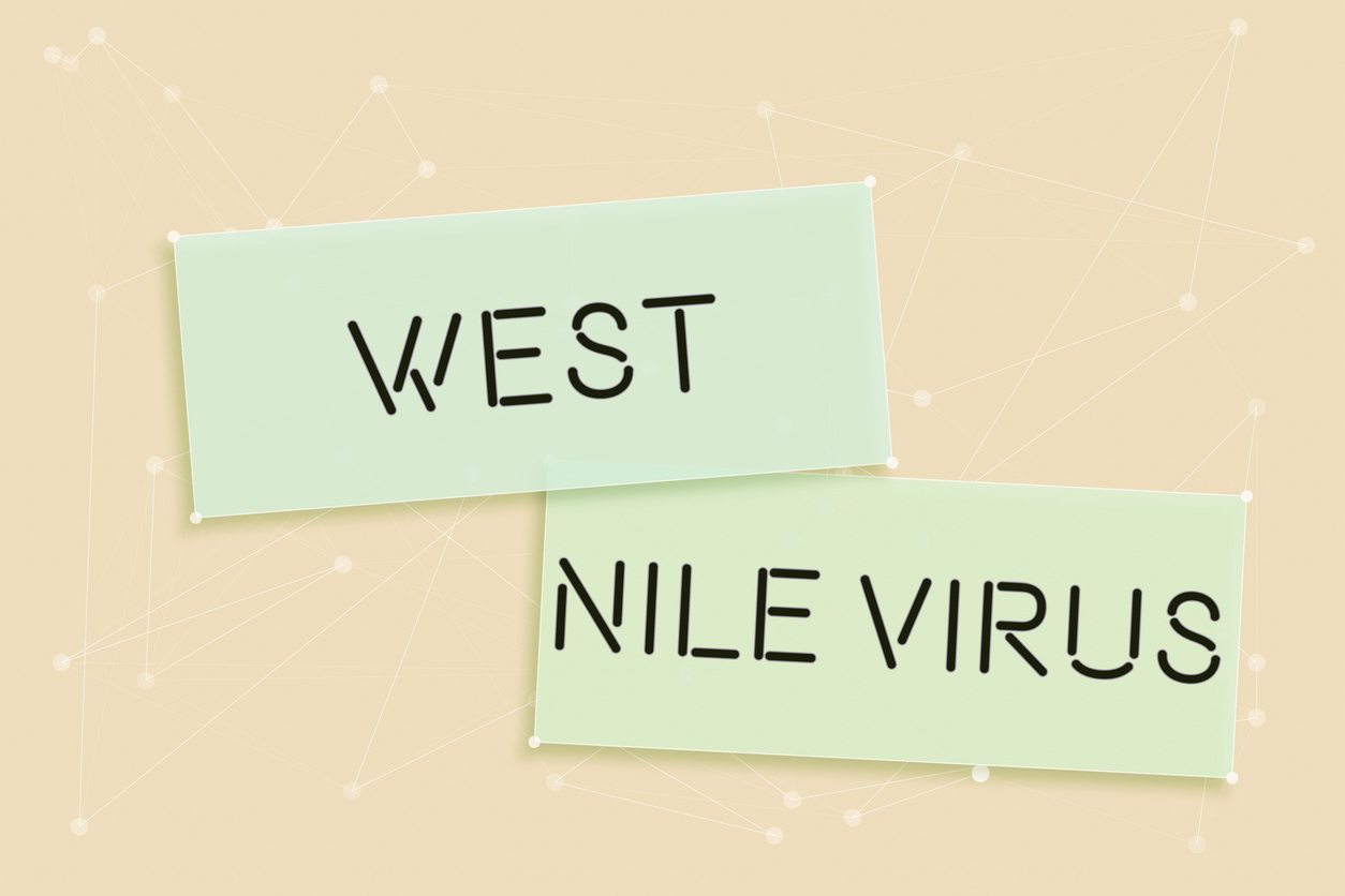 West Nile, la fièvre monte !