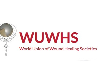 World Union of Wound Healing Societies (WUWHS) 2019