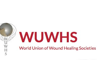 World Union of Wound Healing Societies WUWHS 2019 World Union of Wound Healing Societies WUWHS 2019