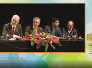 13 - AMD: Which is the Optimal Regimen of Therapy