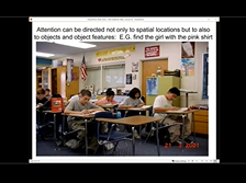 A Causal Analysis of the Attentional Network