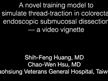 A novel training model to simulate thread-traction in colorectal endoscopic submucosal dissection A novel training model to simulate thread-traction in colorectal endoscopic submucosal dissection