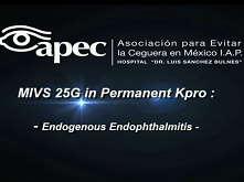 A Way to See Beyond the Plate: 25-Gauge Microincisional Vitrectomy Surgery and Noncontact Viewing System in a Patient With Type 1 Boston Keratoprosthesis and Endophthalmitis A Way to See Beyond the Plate: 25-Gauge Microincisional Vitrectomy Surgery and Noncontact Viewing System in a Patient With Type 1 Boston Keratoprosthesis and Endophthalmitis