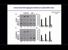 AAV Gene Therapy to CNS: Past, Present and Future - Miguel Sena-Esteves