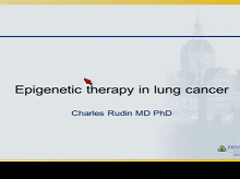 Aberrant Epigenetic Regulation: A Central Contributor to Lung Carcinogenesis and a New Therapeutic Target Aberrant Epigenetic Regulation: A Central Contributor to Lung Carcinogenesis and a New Therapeutic Target