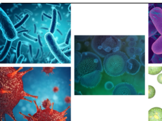 About Access Microbiology About Access Microbiology