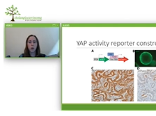 AC20 - CCF Research Fellowship Reports Part 2