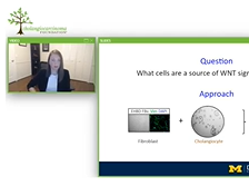 AC20 - Consensus and Controversies in Animal Models