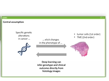 AC20 - Different Modalities for Profiling