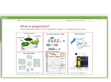 AC20 - How can we Translate Novel Targets into the Clinic?