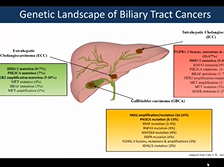 AC21 - Lipika Goyal: How to find a Clinical Trial for your Patients AC21 - Lipika Goyal: How to find a Clinical Trial for your Patients