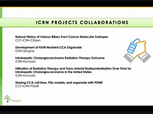 AC21 - Mitesh Borad: International Cholangiocarcinoma Research Network (ICRN) AC21 - Mitesh Borad: International Cholangiocarcinoma Research Network (ICRN)