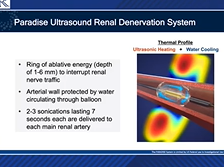 ACC 2021 Discussion: The Randomized Sham-controlled RADIANCE-HTN TRIO Trial