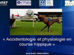 Accidentologie et physiologie en course hippique Accidentologie et physiologie en course hippique