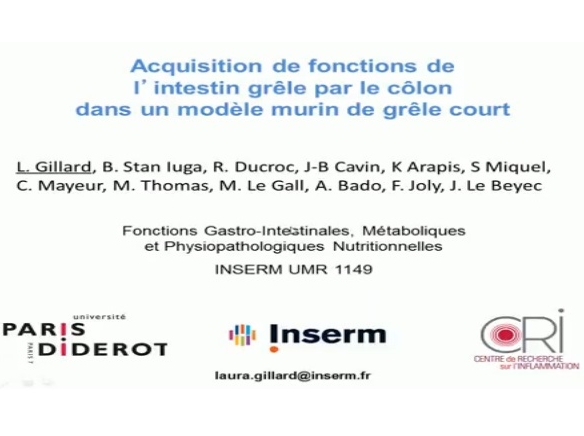 Acquisition de fonctions d’absorption grélique par le colonocyte dans un modèle de grêle court chez le rat