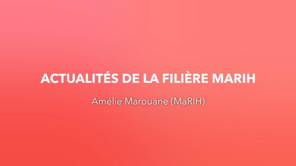 Actualités de la filière