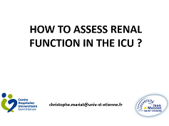 Acute renal failure in the ICU - How to assess renal function in the ICU