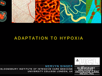 Adaptation of the organism to extreme -To hypoxia