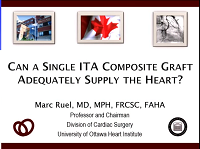 Adequacy of IMA composite grafts