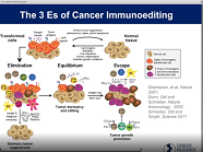 Advances in Genomics and Personalized Immunotherapy, with Robert D. Schreiber, Ph.D. Advances in Genomics and Personalized Immunotherapy, with Robert D. Schreiber, Ph.D.