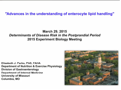 Advances in the understanding of enterocyte lipid handling Advances in the understanding of enterocyte lipid handling