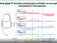 Advancing single-cell genomics using combinatorial indexing